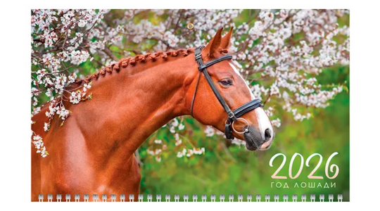 Скидка 20% на ежедневники и календари Скидка 20% на ежедневники и календари